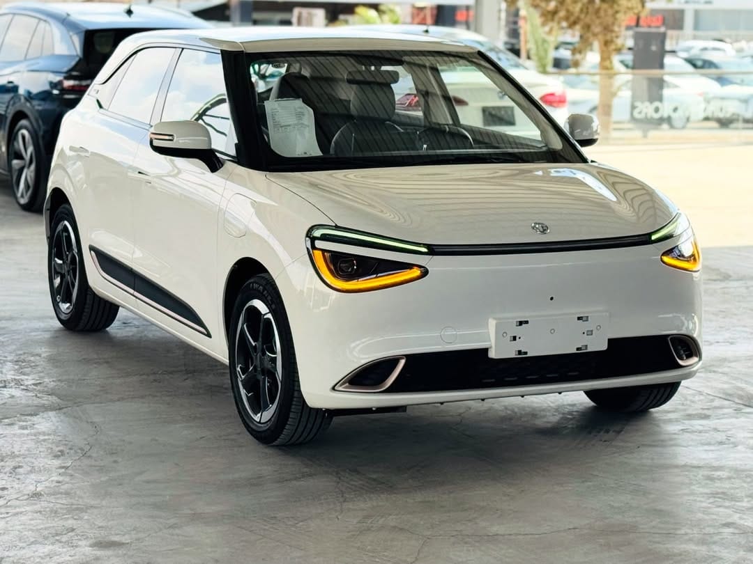 SAKLYORS NORA ELEKTRİKLİ ARABA